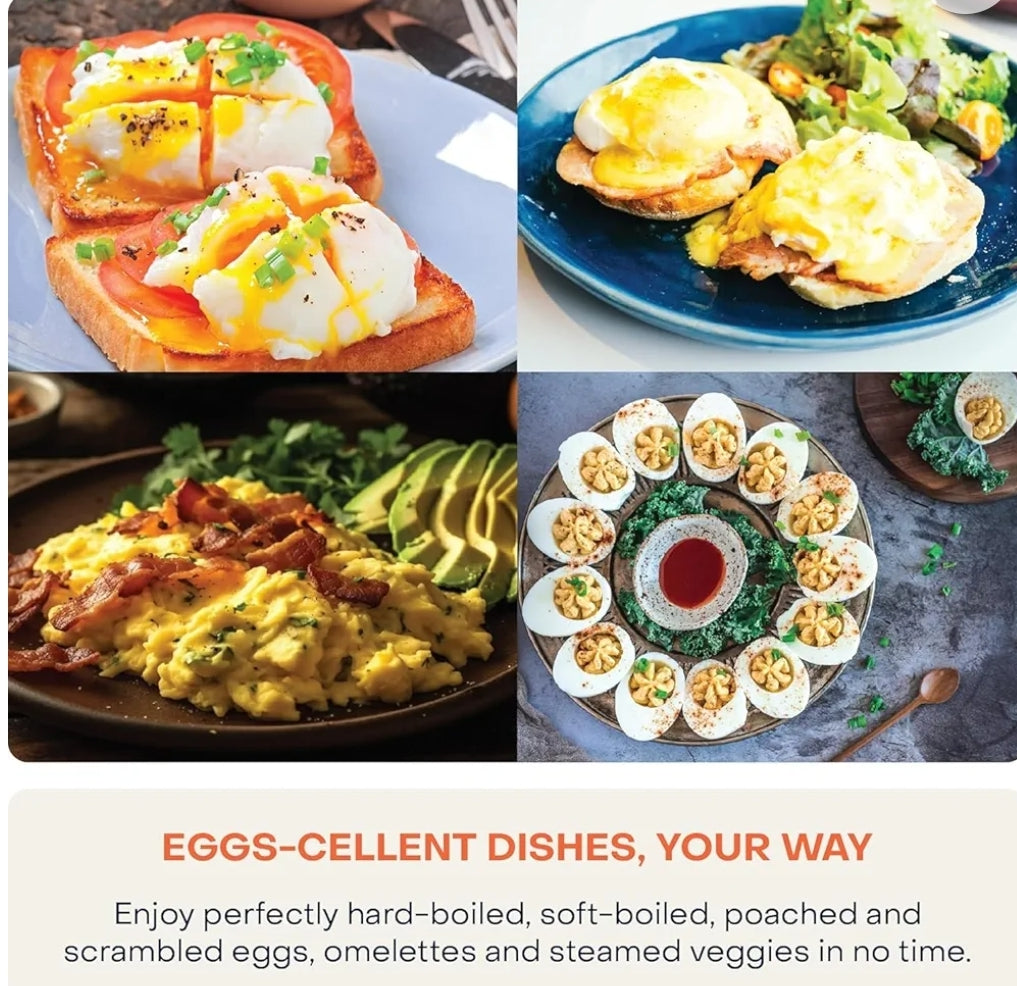 INSTANT EGG BOILER STAINLESS STEEL BODY